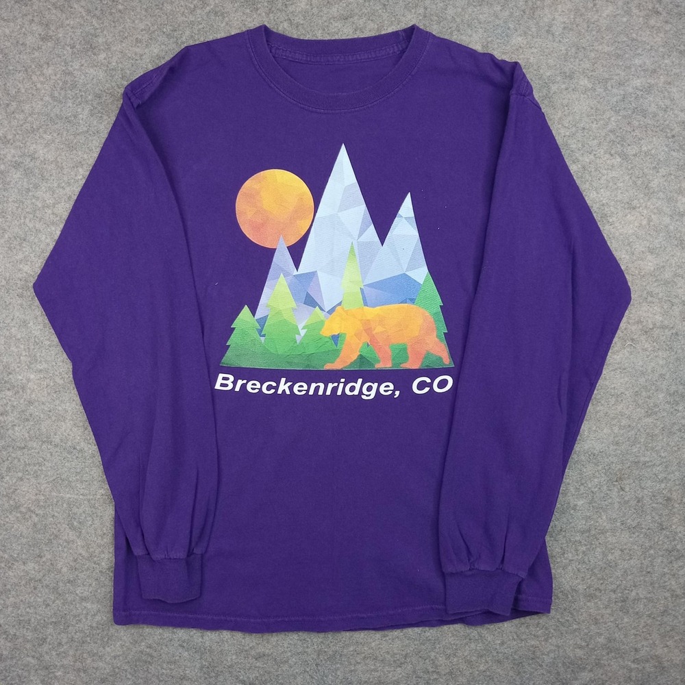 Breckenridge Colorado Shirt Mens Small Purple Bear‎ Mountain Ski Board Graphic